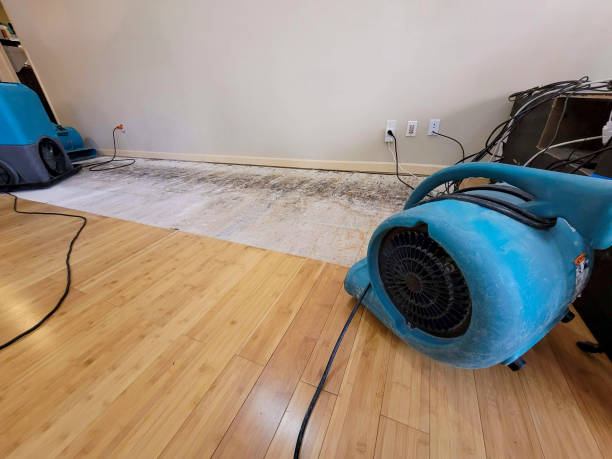 Professional Flood Damage Cleanup technician working in Hampton, IL